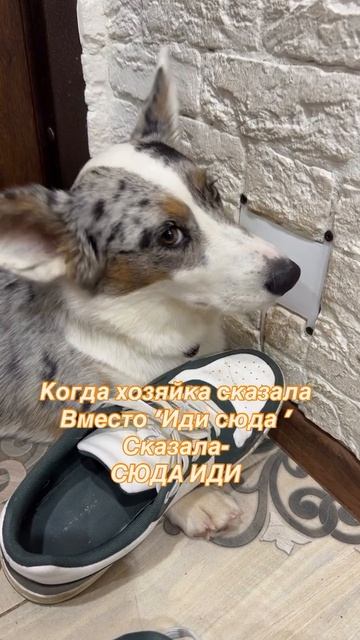 Когда от переменные мест слов всё меняется