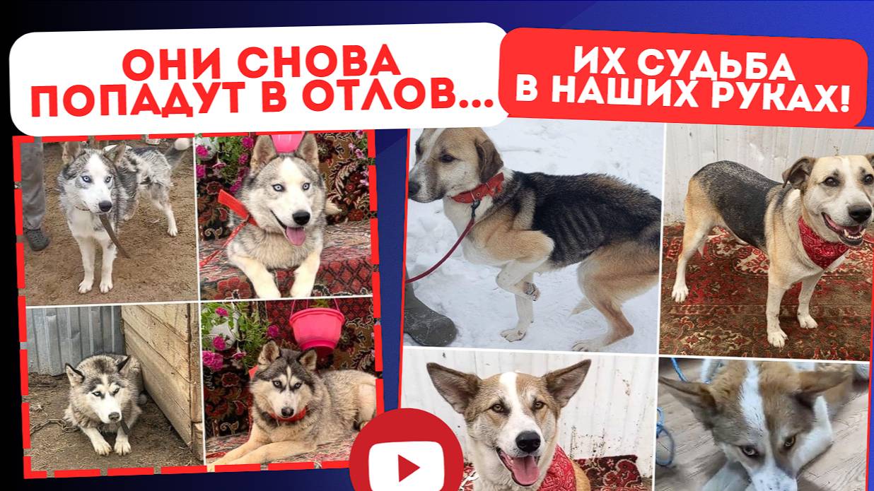 Второй раз попасть в ППЖ - равносильно смерти!