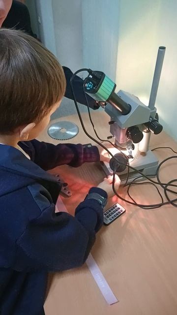 Деньги под микроскопом