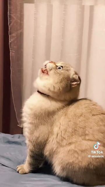песня чики из фнафа 😑😑😑😑😑😑😑😑😑😑😑😑😑😑