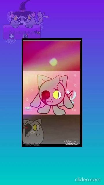 🩶 😸⚪