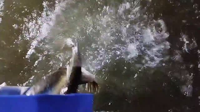 1000037197.mp4