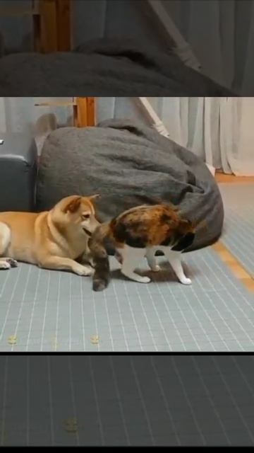 Пришел утром, а жена не спит.