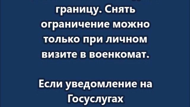 Выезд из России начали ограничивать из-за электронных повесток