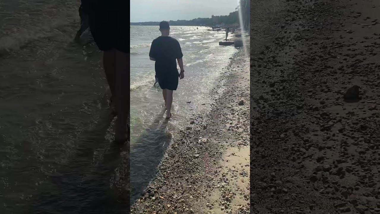 Собачка и море #собака #шортс #dog #doglover #shorts