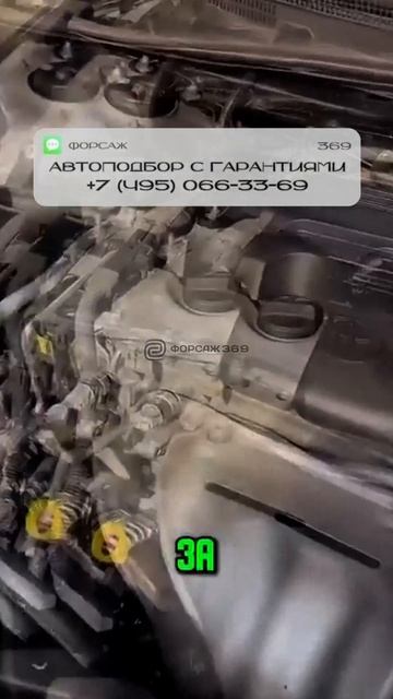 ЯПОНЦЫ КРУЧЕ НЕМЦЕВ!#автоподбор #привозавто #автоприколы #автоновости #автоюмор