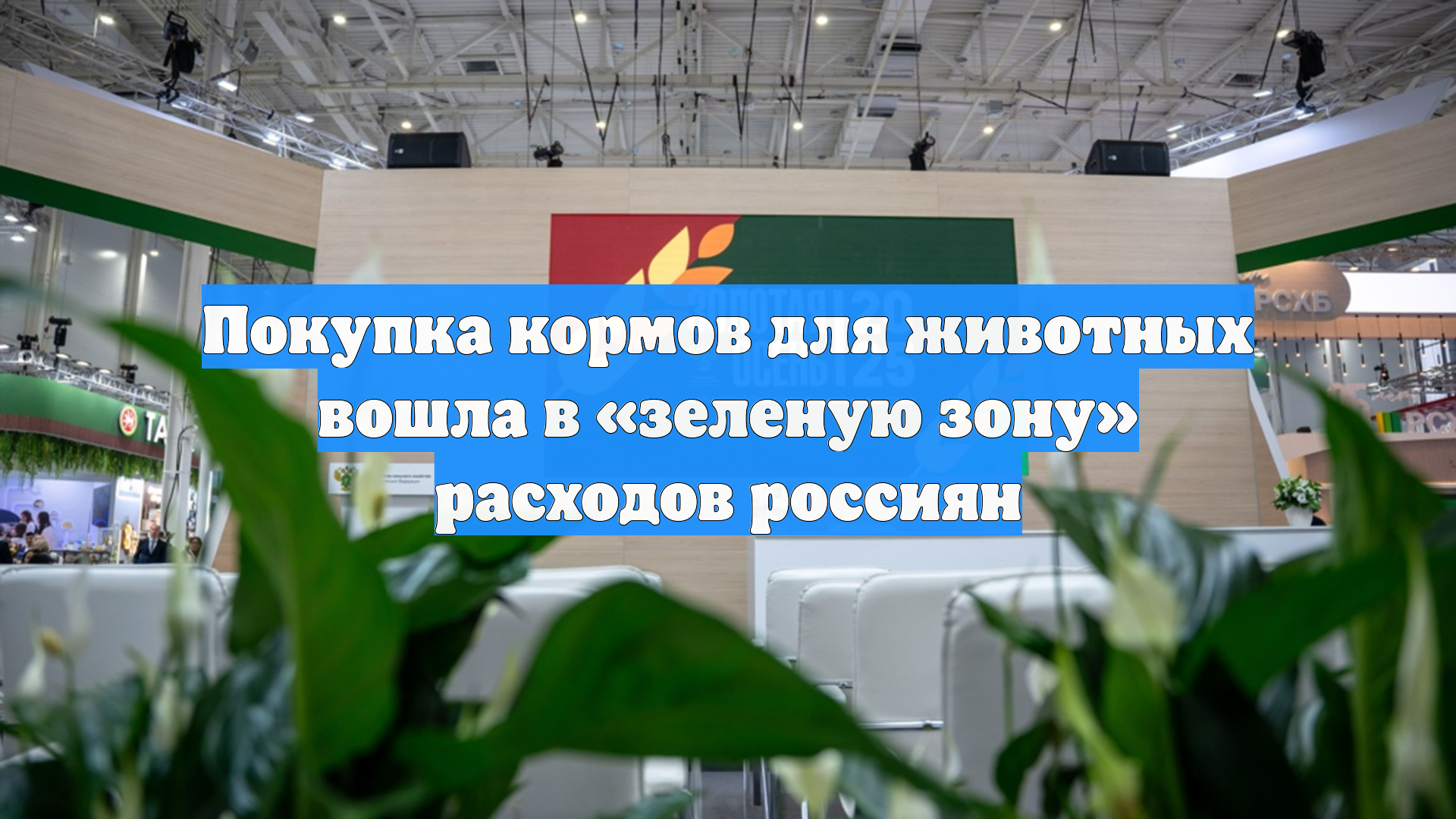 Покупка кормов для животных вошла в «зеленую зону» расходов россиян