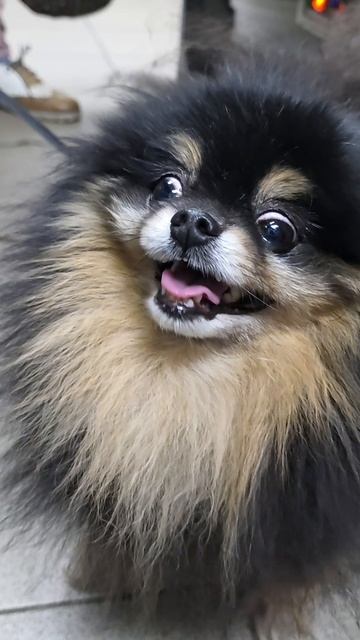 Солнышко 😍