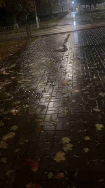 Осень🍁