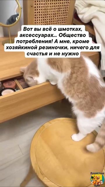 Клип @meowtaverse