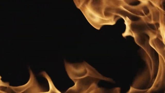 Fire   9163