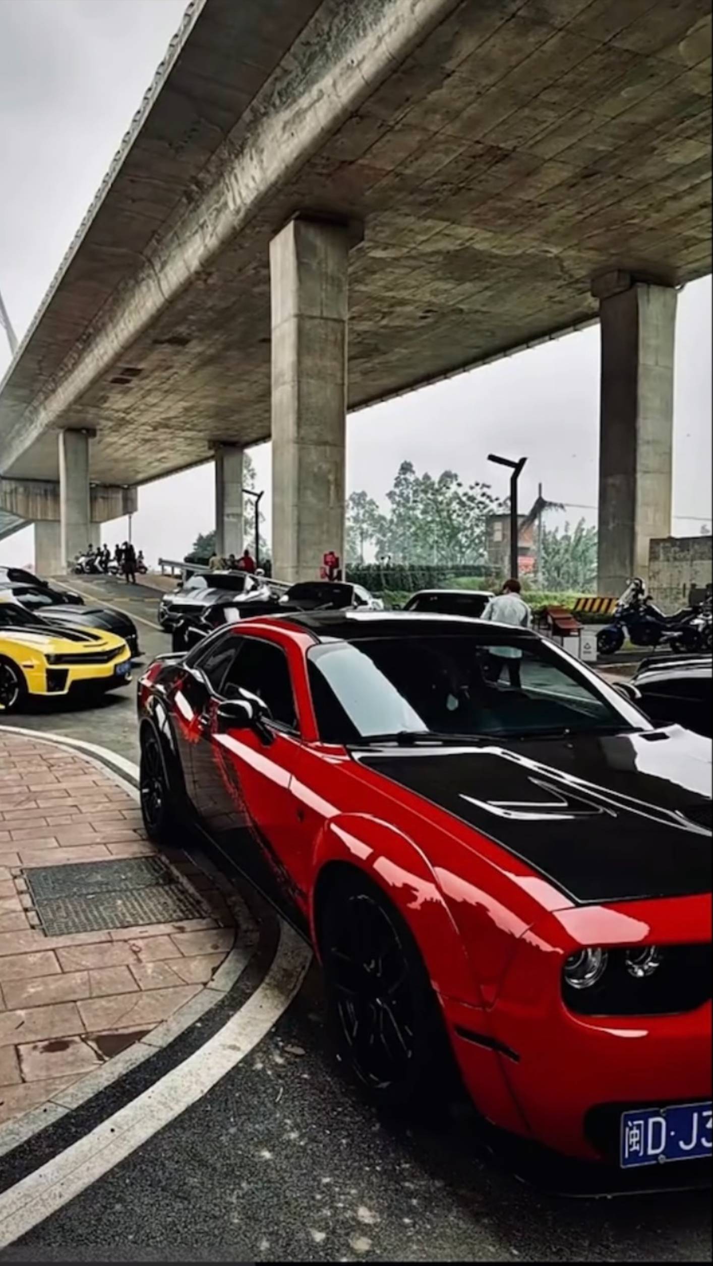 Petrolheadperformance  из Китая
