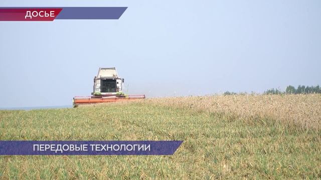 Более 40 нижегородских предприятий представляют свою продукцию на форуме «Золотая осень»