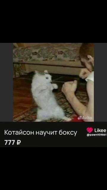 это авито
