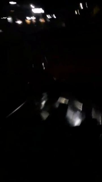 Petal_20251010_224827.mp4