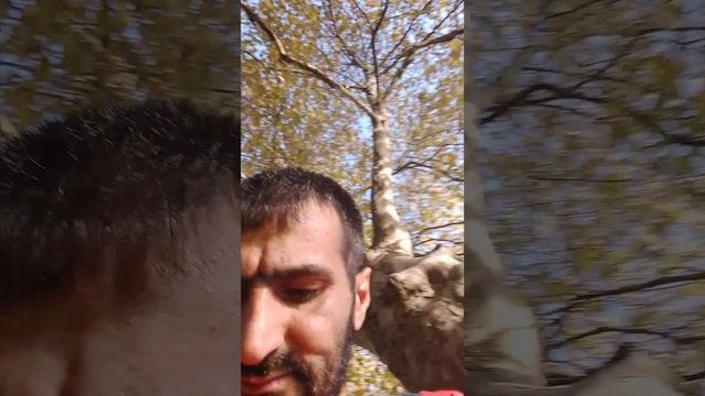 1000112397.mp4