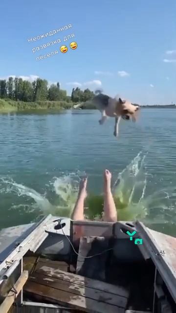 #юмор, #смешно, #приколы, #мемы, #ржака, #угар, #шутки, #анекдоты