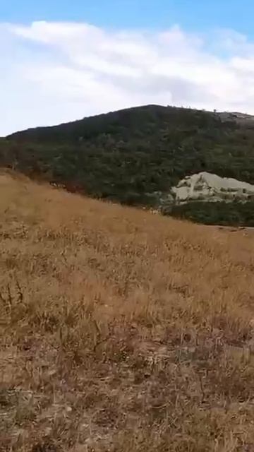 выстрел с разворота
