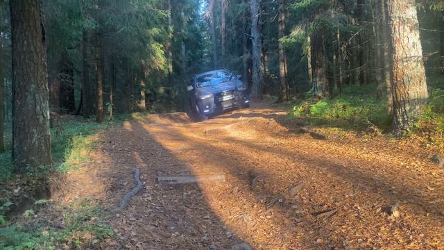 Лесная дорога до лагеря на Mitsubishi ASX  Отдых на озере  ASMR  Валдай