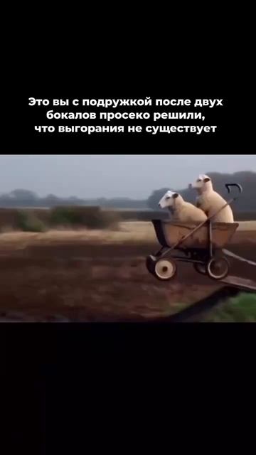 Как справиться с выгоранием