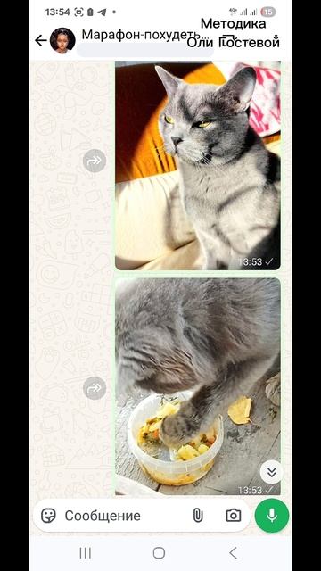 Марафон, чат ♡ Похудеть.
Марафон. Меню.