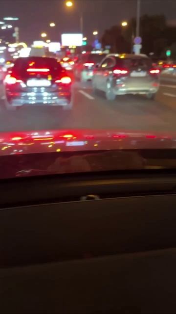 🐀У Москвича крыса вывезла из-под капота прямо на ходу🐀