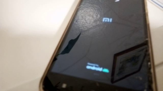 XIAOMI 21 2025год