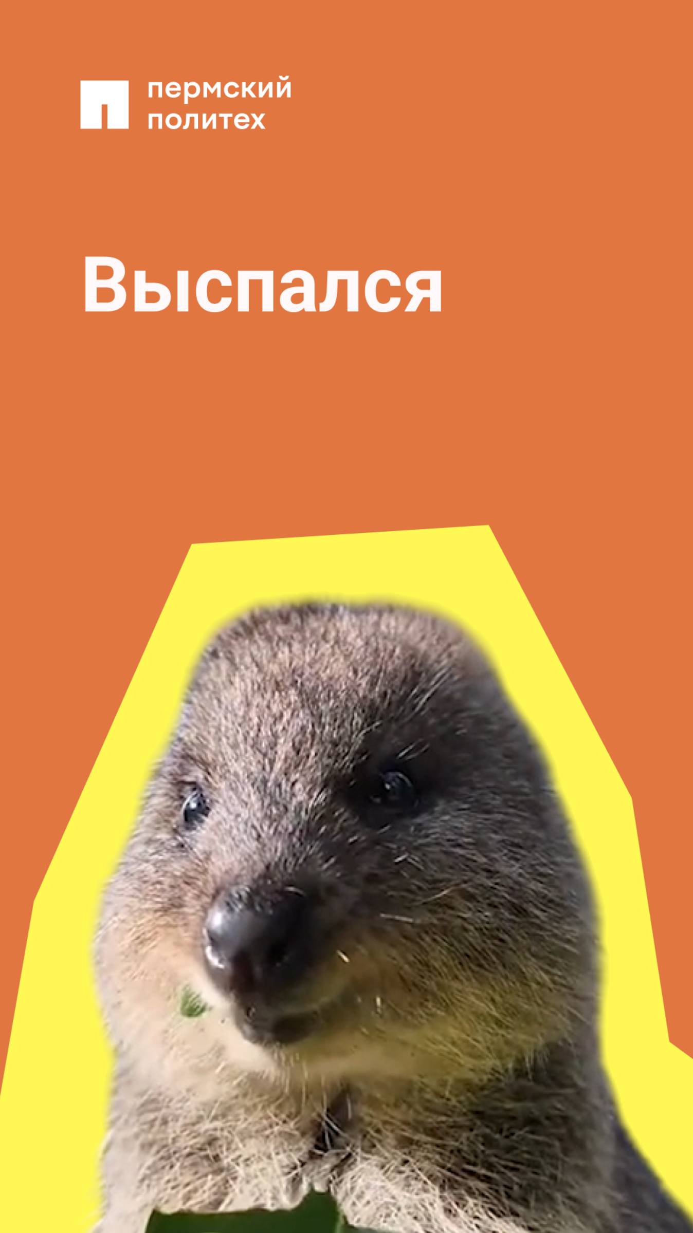 Когда понимаешь, что сегодня ты человек, а не зомби