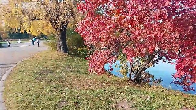 Главный ботанический сад