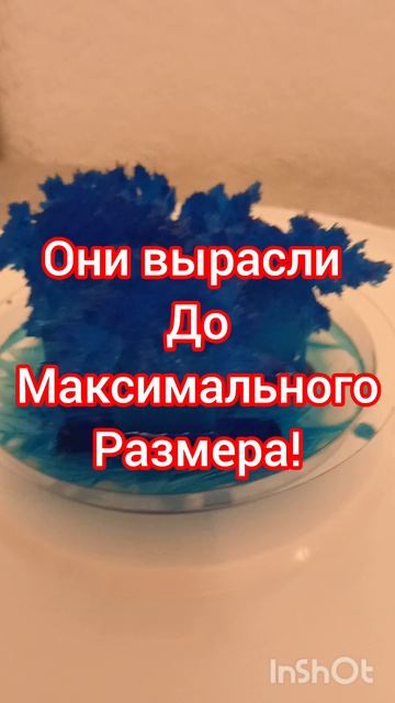 Выращивание кристалов 3 (последняя часть)