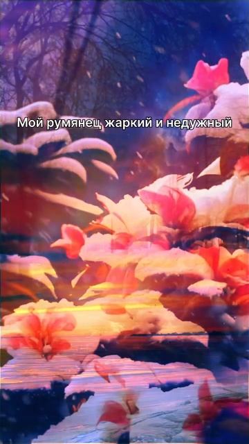 О Любви в Феврале читаю стих под музыку, Зима #читаюстихи #стихи #ожизни #стих #поэзиядлядуши