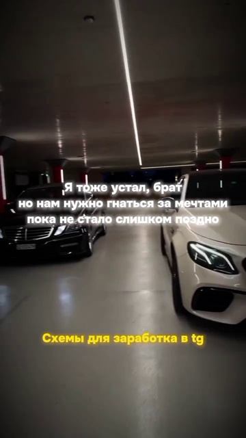 ТЕМКИ (55)