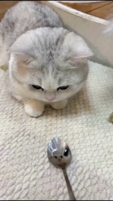 Отражение