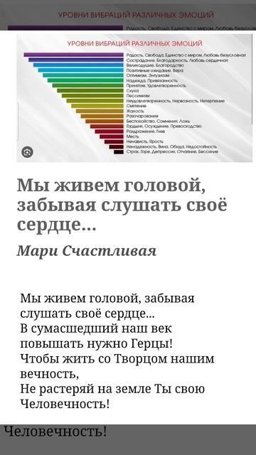 Мы живем головой... #стихиМари #HAPPYMARI