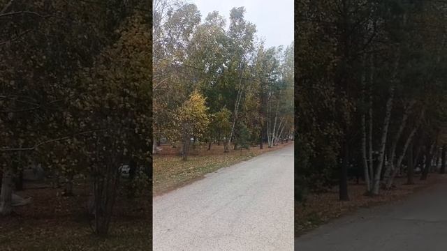 1000252035.mp4Песня 