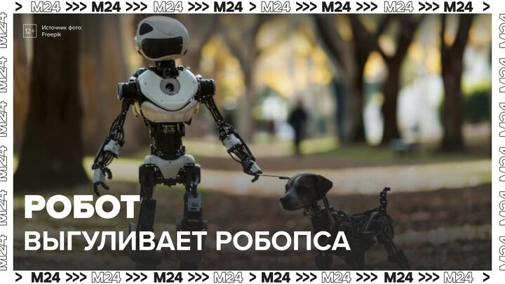 Робот с робособакой появились возле станции московского метро "Менделеевская"