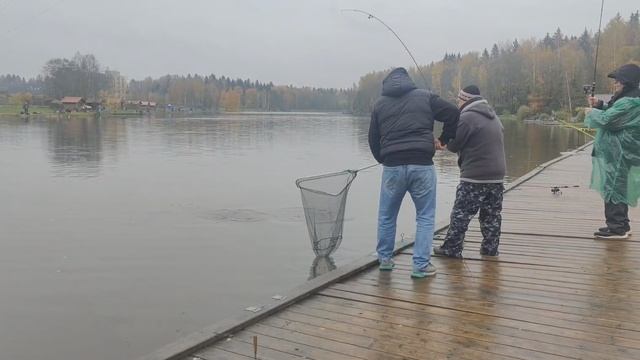 ФОРЕЛЬ
