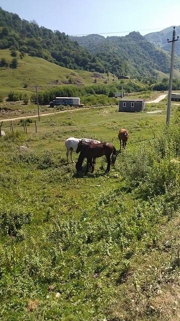красивый вид Ведено релакс