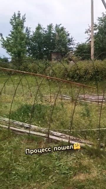 Разбор старой теплицы
