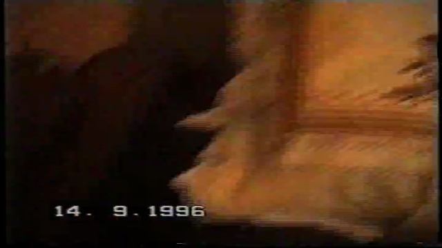 14.09.1996г Александра и Валя у нас гостьях Лангепас