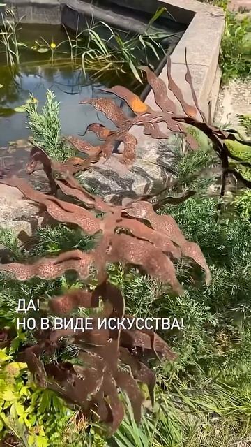 На заметку ландшафтным дизайнерам :) #ландшафтныйдизайн #садоводничество #сад #огород #цветыдлядома