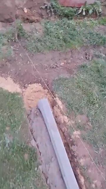 1000058554.mp4