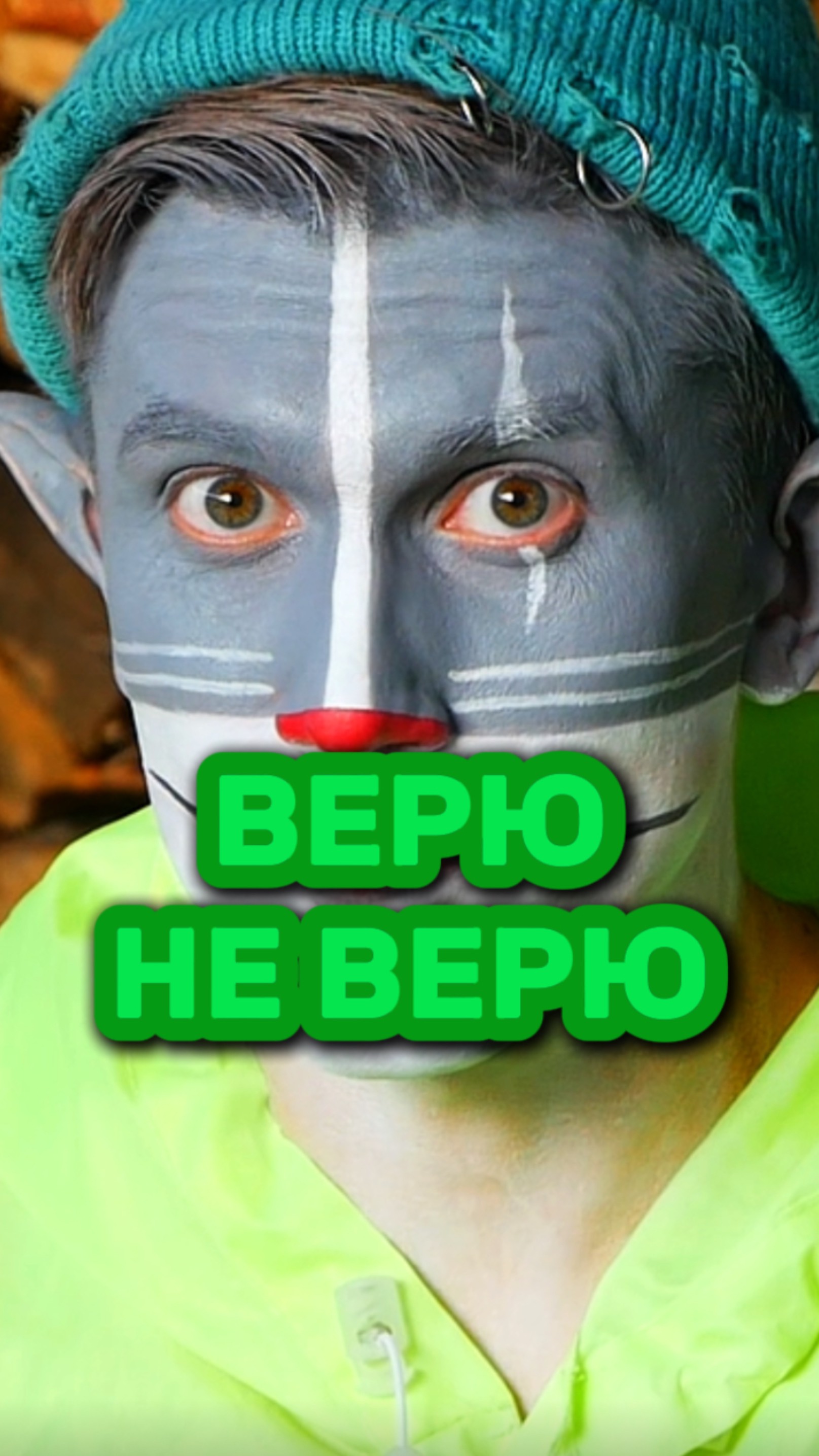 Кот Учёный и Муха 🪰