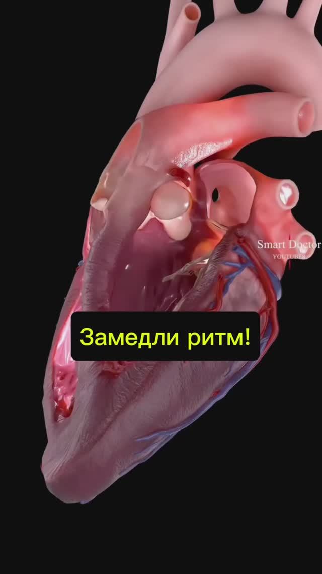 Это замедление ритма сердца используют врачи при тахикардии