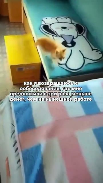 Пустите обратно