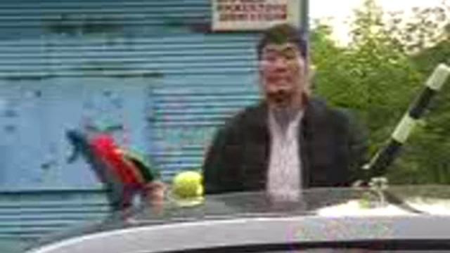 1000111151.mp4