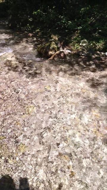 Лес речка прогулка Ведено красота