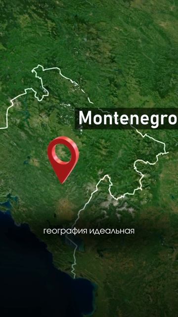 Бесплатный разбор твоих финансов и бизнеса в шапке профиля