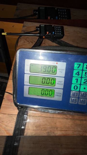 10-10-2025