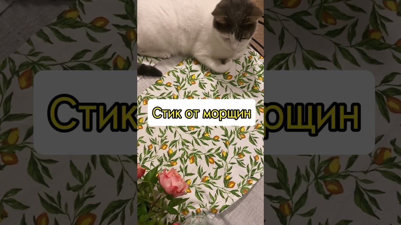Котик и новая косметика #шортс #cat #shots #cats #золотоеяблоко #goldapple